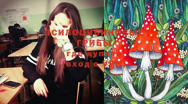 прущий лед Белокуриха