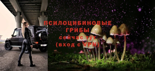 прущий лед Белокуриха